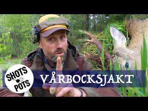 VÅRBOCKSJAKT I FINLAND - Det magiska skottet i Åbo skärgård