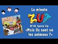 La Minute ZUT #08 : Spécial Clip Mais ils sont où les animaux