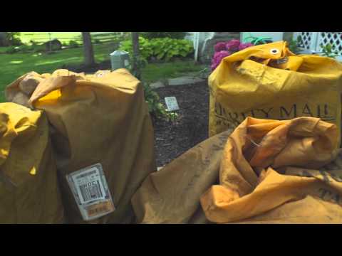 Kate - The Knitting Nana