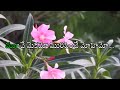 Kalaya Nijama Korake Song With Feamle Voice Added In Telugu Lyrics Cooli No1 Telugu Movie