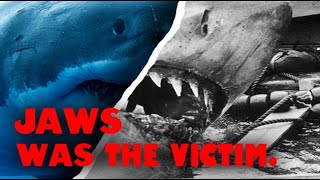 The Shark in Jaws Did Nothing Wrong - An Ecological Video Essay