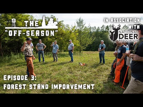 The Off-Season | S2 : E3 | Forest Stand Improvement