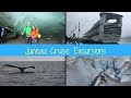 Juneau Cruise Excursions - Juneau Whale Watching Tour & Mendenhall Glacier Trek Juneau Cruise Excursions - Juneau Whale Watching Tour & Mendenhall Glacier Trek