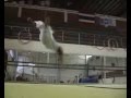 Kata Capoeira
