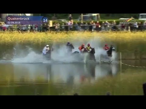 2018.09.02 lPreis der Fa. JCK Holding - Altes Artländer Seejagdrennen (GER) - Wutzelmann