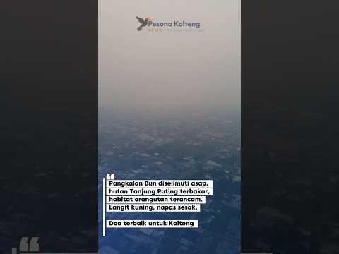 Pangkalan Bun diselimuti asap tebal