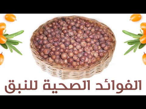 , title : 'الفوائد الصحية للنبق ـ نبق السدر..فوائد النبق الرائعة لن تستغني عنه بعد معرفتك لها'