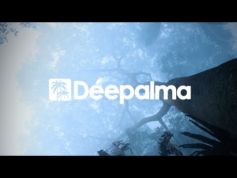 Miguel Migs - Broken Barriers [Déepalma Ibiza Winter Moods, Vol. 5]