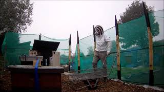 A New Chapter, A New Secret Bee Garden