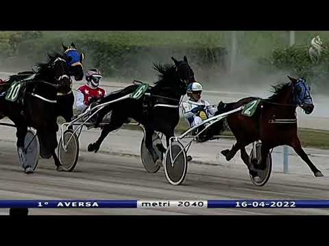 Aversa trotto 16 Aprile 2022 - 1° Corsa