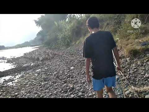 likaliku pengangon bebek