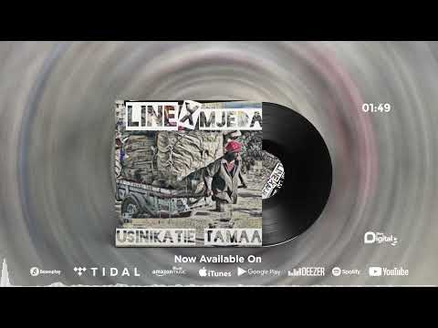 Ibra Da Hustler  Feat. Linex Mjeda - Usinikatie Tamaa (Official Audio)