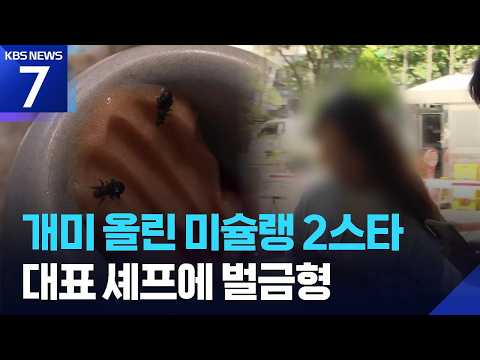 식용 불가 ‘개미 디저트’ 판 미슐랭 2스타 레스토랑에 벌금형 / KBS 2026.09.16.