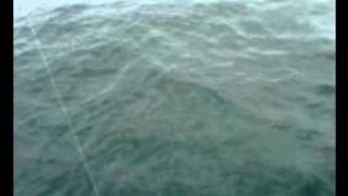 preview picture of video 'Minke Whale Off Strumble Head Pembrokeshire Summer 2010 Fishguard'