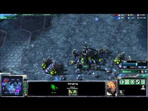 Starcraft 2: Zerg Basics