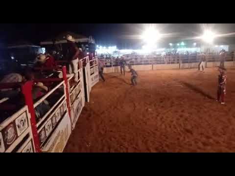 Marcos vs sedutor (BOIADA JK)