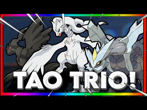 PERFECT Guide To Finding The TAO TRIO In PBB - Reshiram Zekrom and Kyurem!