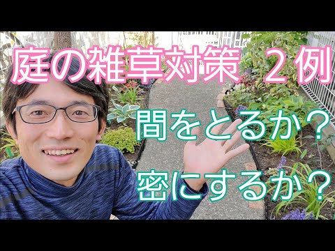 温室マルチ木灰の雑草を避ける