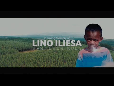 Seni Lolo Kula - Lino Iliesa (Official Music Video)
