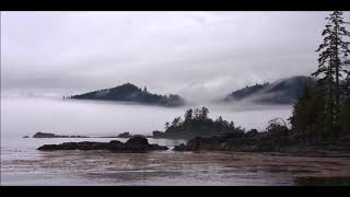 Mount Eerie A Crow Looked At Me - 2017 (Full album lyric video)