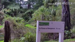 Hamurana Springs, Rotorua New Zealand