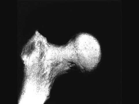 "Your Cells Are In Motion" by Jackie-O Motherfucker