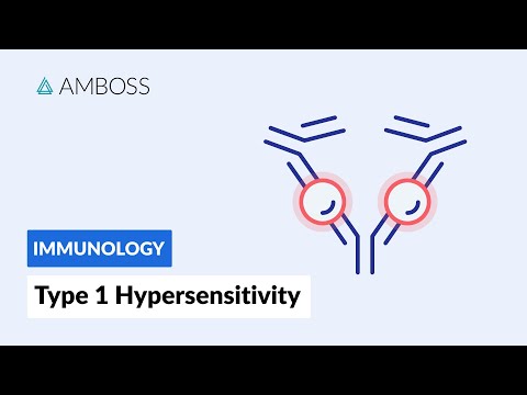Immediate response: Type I Hypersensitivity Reaction