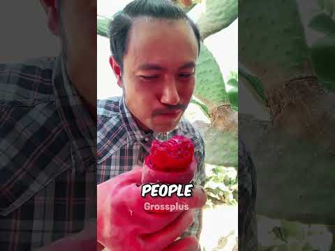 Is it safe to eat cactus? #shorts #science