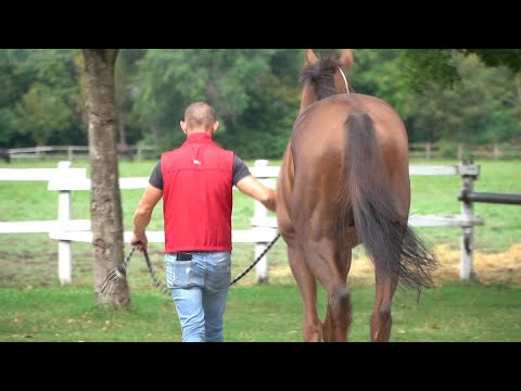 Vajdasági Futam –  Szenttamás