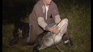 Risk Takers - 102 - Alligator Trappers