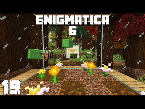 Enigmatica 6 :: E19 - Starting Resourceful Bees