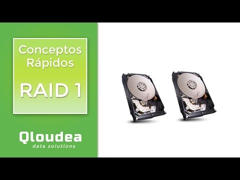 RAID 1 - Conceptos Básicos