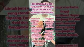 Download lagu Rekomendasi voer terbaik untuk murai batu #shorts#muraibatu#kicaumania #muraibatugacor #cendetgacor mp3