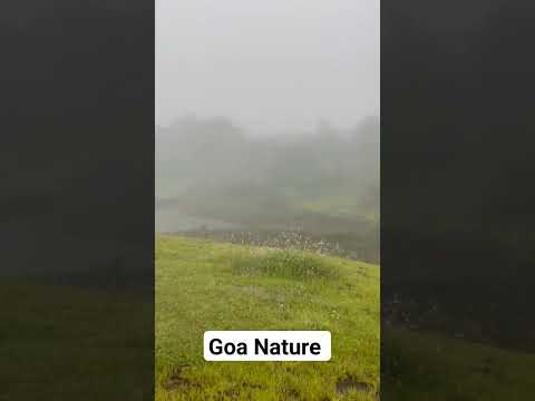 Nature #youtubeshorts #shortvideo #nature #naturelovers #youtube #