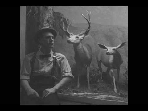 Kriminaltango - The Deadfly Ensemble