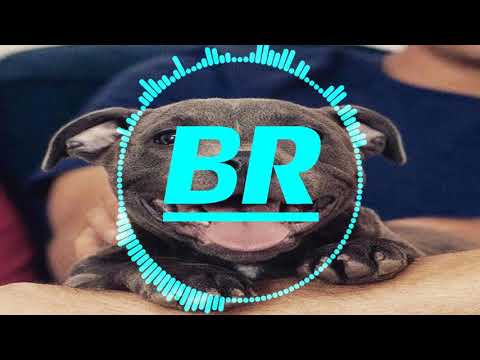 Nick Lawyer - Without You (Demy Chris Remix)