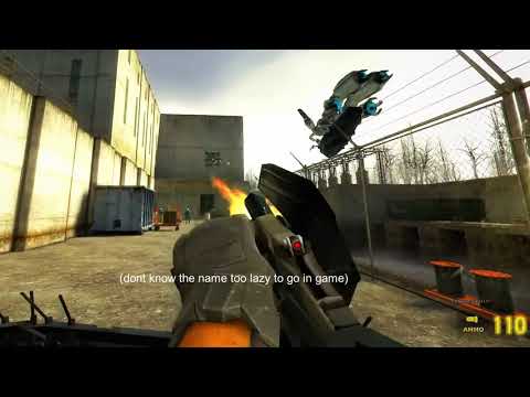 Half Life 2 MMod review.