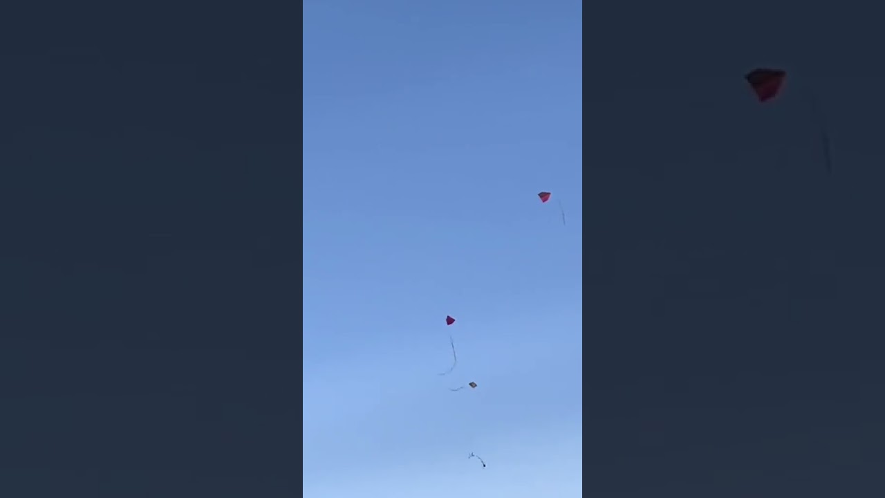 Olha isso #shortvideo #pipasbrasil