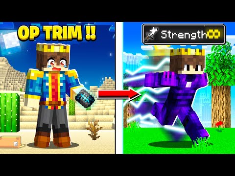 Minecraft But You Can CRAFT SUPER OP TRIMS !!