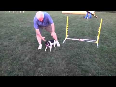 Jeff and Taffy run on 9-6-12