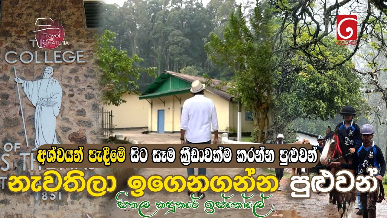 අශ්වයන් පැදීමේ සිට සෑම ක්‍රීඩාවක්ම කරන්න , නැවතිලා ඉ?