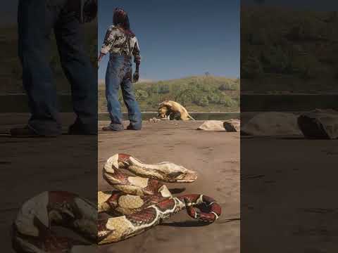 Master the Wild: Survival Essentials – Ss159 #Shorts #rdr2