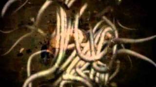 The Legendary Pink Dots - Hallway