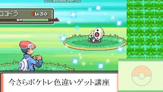 【祝リメイク】今さらポケトレ色違いゲット講座・実践編【ポケモンプラチナ】