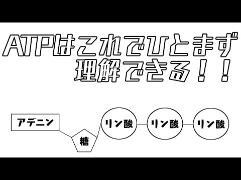 アデノシンの構造。