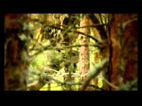 Militārā profesija - izlūks. 3.daļa