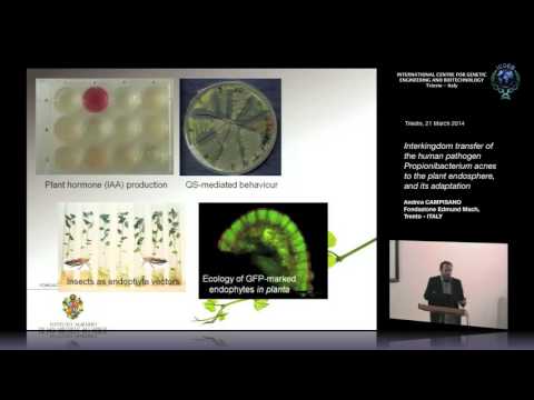 A. Campisano - Interkingdom transfer of the human pathogen Propionibacterium...