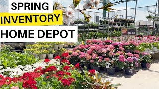 Inventory At  Home Depot 🌷🌿😮 MASSIVE Stock For Spring!!! #homedepot
