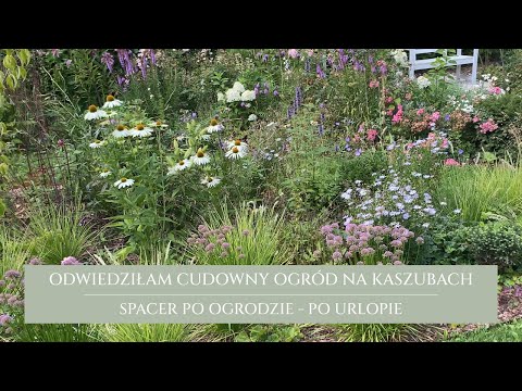 A walk in the garden | new ideas after the holidays | gardening is constant experimentation