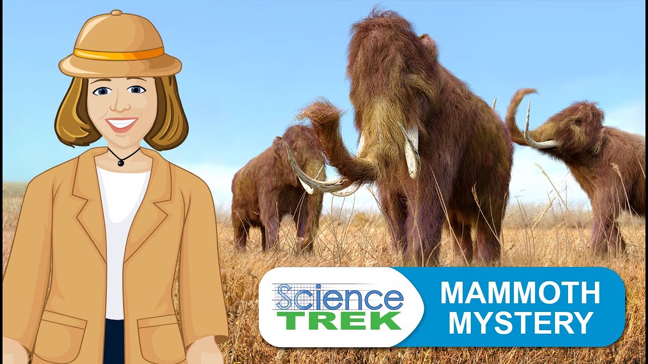 Mammoth Mystery | Science Trek